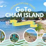 Cham Island Snorkeling & Beach Day Tour