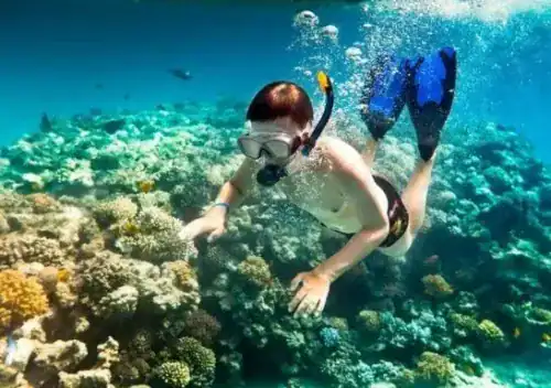 lan-ngam-san-ho-cu-lao-cham