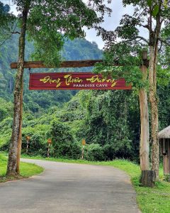 Khám Phá Động Thiên Đường Phong Nha 1 ngày