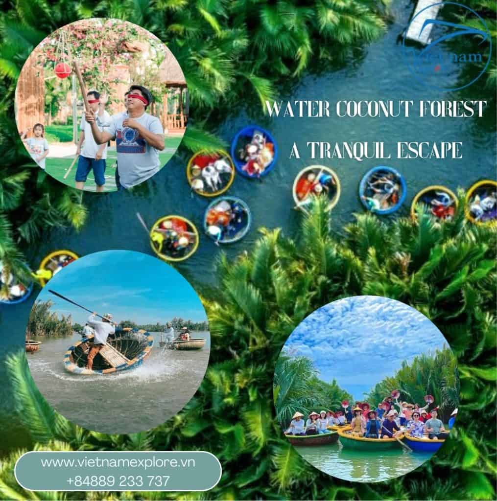 Discover the Tranquil Charm of the Water Coconut Forest