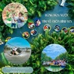 Khám Phá Nét Yên Bình Của Rừng Dừa Nước