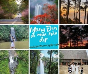 Măng Đen Đi Mùa Nào Đẹp? Kinh Nghiệm Du Lịch Măng Đen Tây Nguyên 4 Mùa