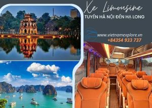 Xe Limousine Hà Nội đến Hạ Long (1 chiều)