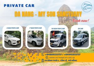 Private Car from Da Nang To My Son Sanctuary (Round Trip)