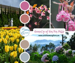 A Floral Paradise in the Clouds: Experiencing the Beauty of Ba Na Hills