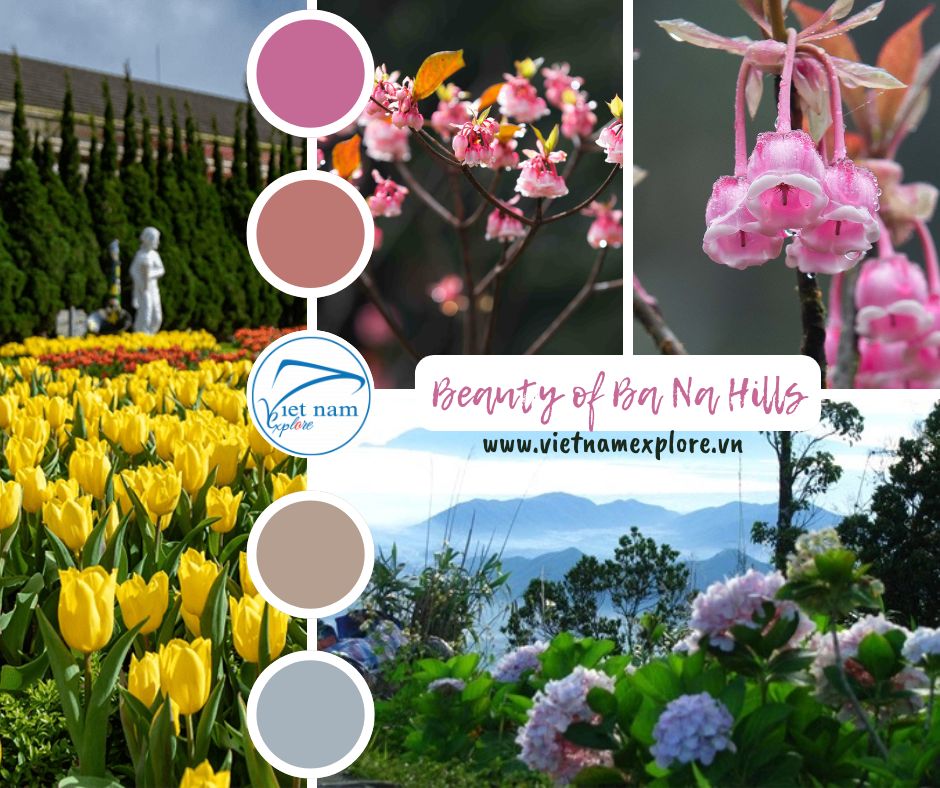 A Floral Paradise in the Clouds: Experiencing the Beauty of Ba Na Hills
